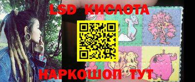 гидропоника Сланцы