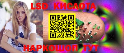 гидропоника Сланцы