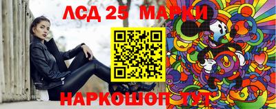 гидропоника Сланцы