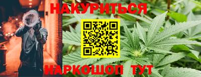 гидропоника Сланцы