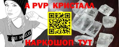 гидропоника Сланцы